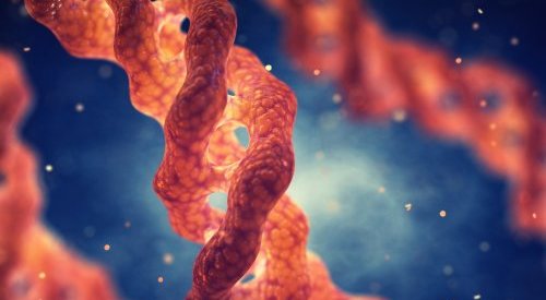 Evonik lança plataforma de colágeno de origem não animal