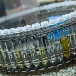 Producao de fragrancias da Vollmens