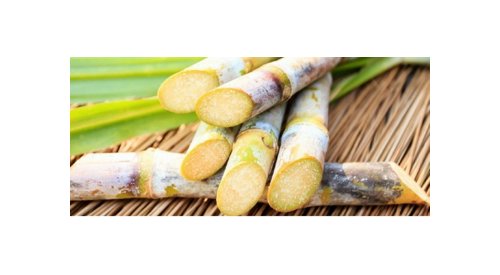 L'Oréal Professionnel lança embalagem feita 100% com cana-de-açúcar