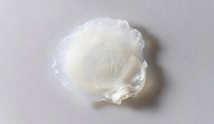 Avon desenvolve primeira pele bioimpressa que reproduz efeitos da menopausa