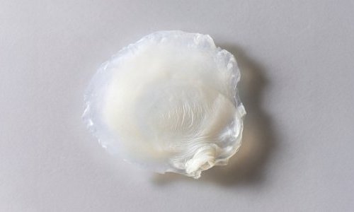 Avon desenvolve primeira pele bioimpressa que reproduz efeitos da menopausa