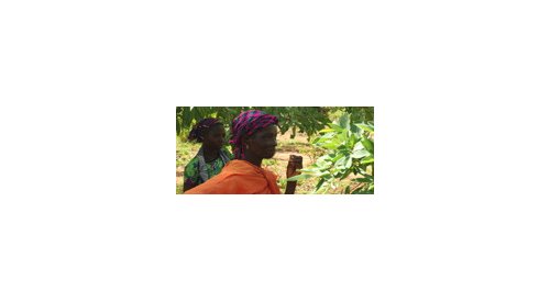 L'Oréal aims to reduce carbon emissions of its sourcing