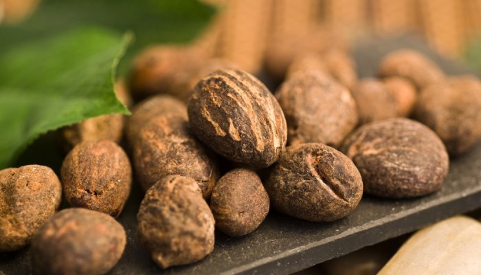 Matérias-primas: Nigéria veta exportação de nozes de karité cruas