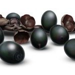 Óleo de patauá, com alto teor de ácido oleico possuí uma textura leve e é um importante ativo no tratamento do couro cabeludo.