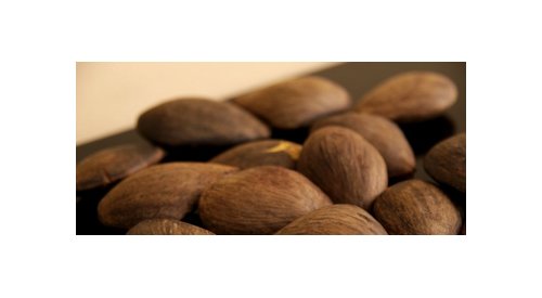 Beraca quer facilitar o acesso aos insumos da biodiversidade brasileira