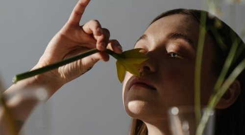 Covid-19 e o futuro do setor de plantas para perfumes