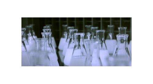 Hallstar to divide Beauty & Personal Care and Industrial Solutions businesses into separate companies