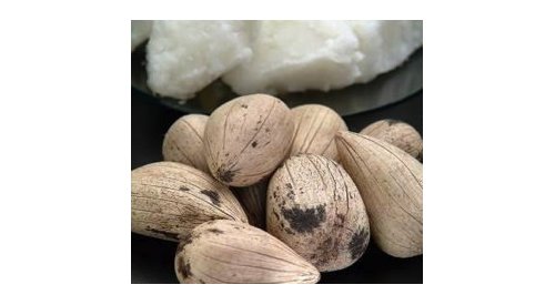 Clariant and Beraca establish strategic alliance