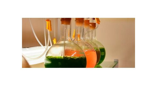 Givaudan apresenta ativo marinho com efeito calmante e dupla ação: beleza e bem-estar