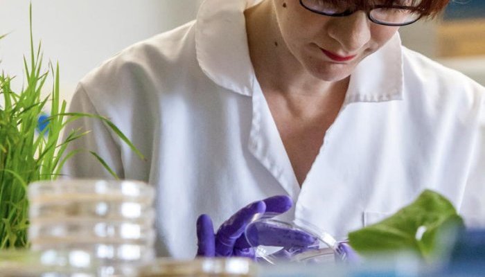 P&G Beauty compartilha guia para o uso seguro de ingredientes botânicos