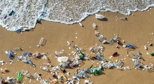 Do oceano ao corpo humano, microplásticos estão invadindo todos os espaços
