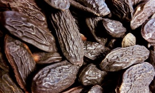 Fragrâncias: O Tonka Bean CO2 Absolute completa a linha sustentável da LMR