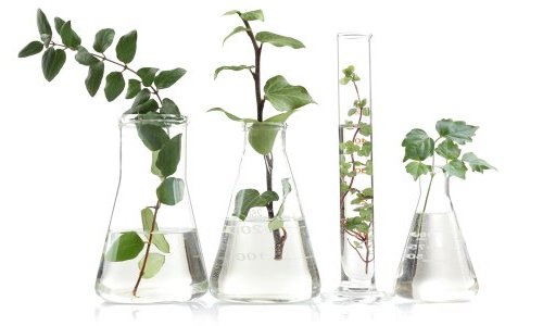 Evonik anuncia novo distribuidor para a linha de ativos Novachem na Argentina