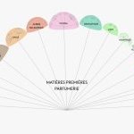 Scentree, site de classificação de ingredientes para perfumes, ganha novo design