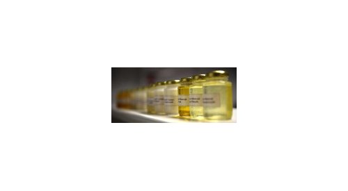 Beraca introduces an organic skin lightening and anti-ageing active