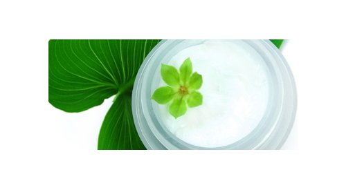 Brazil's green cosmetics market to be highlighted at the Vivaness in Nuremberg, Germany
