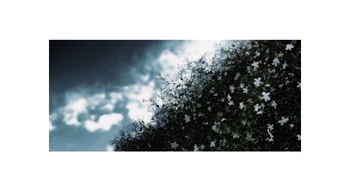 Um aroma de sucesso: mobilização para que os perfumes franceses se tornem patrimônio mundial