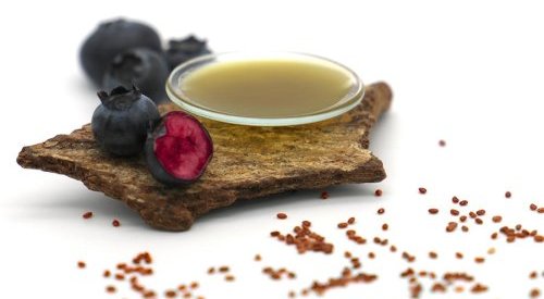 Givaudan Active Beauty: upcycling de mirtilo selvagem para restaurar a pele