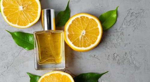 Scentree, site de classificação de ingredientes para perfumes, ganha novo design