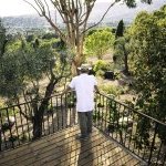 A LMR Naturals, subsidiária da IFF (International Flavors and Fragrances) especializada em ingredientes naturais para perfumaria, cosmética e aromas, inaugurou um novo campo experimental em Grasse, no sul da França (Foto: LMR Naturals by IFF)