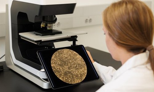 Debut aposta em ativo biotecnológico para combater a hiperpigmentação